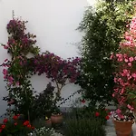 Zorzis (adults Only) Perissa (Santorini)