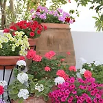 Hotell Zorzis (adults Only) Perissa (Santorini)