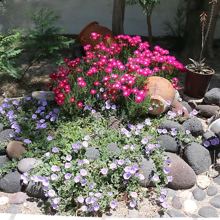 Zorzis (adults Only) Hotel