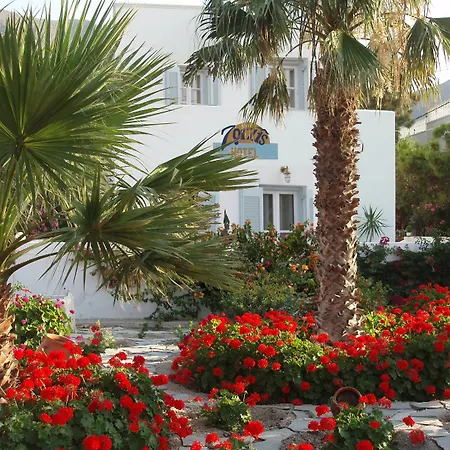 Hotel Zorzis (adults Only) 2*