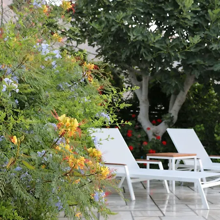 Hotel Zorzis (adults Only)