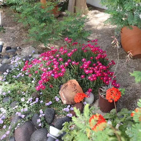 Zorzis (adults Only) Hotel