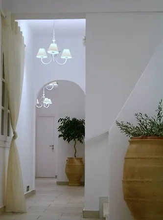 Zorzis (adults Only)