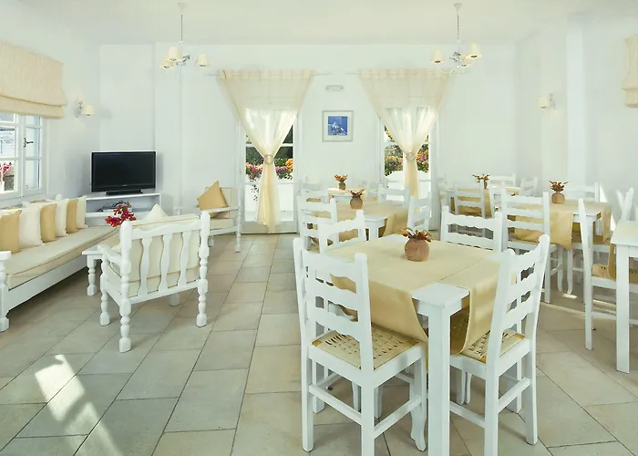 Zorzis (adults Only)