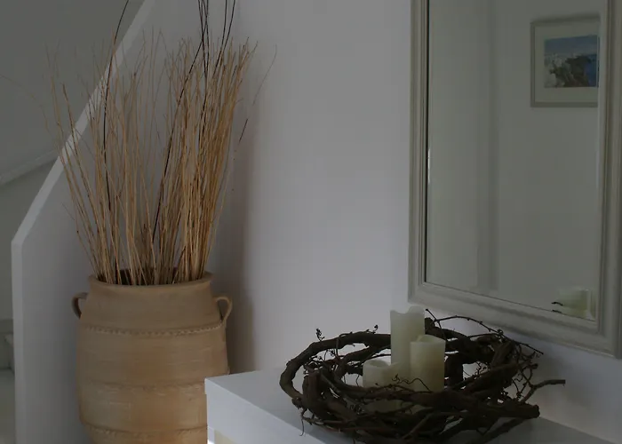 Zorzis (adults Only)