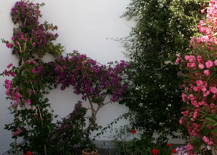 Zorzis (adults Only) Perissa (Santorini)