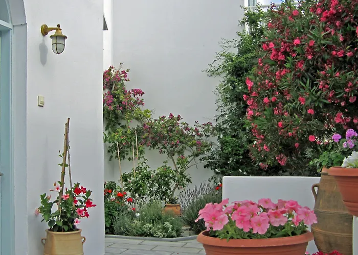 Zorzis (adults Only) Hotel