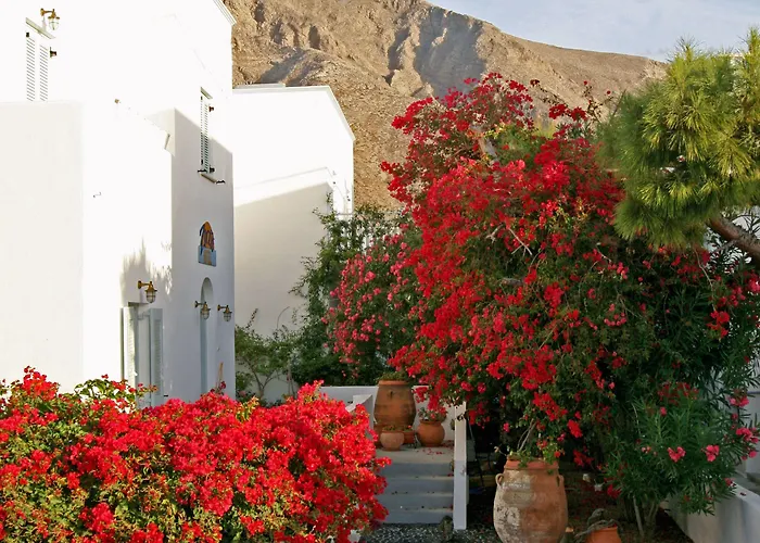 Zorzis (adults Only) Hotell 2*