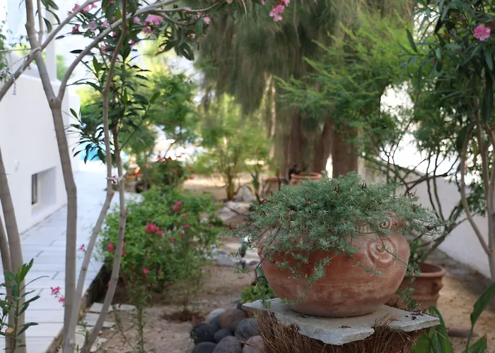 Zorzis (adults Only) 2* Perissa (Santorini)