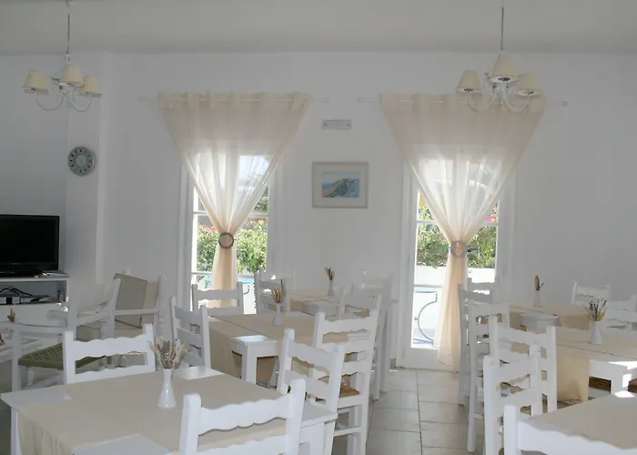 Zorzis (adults Only)