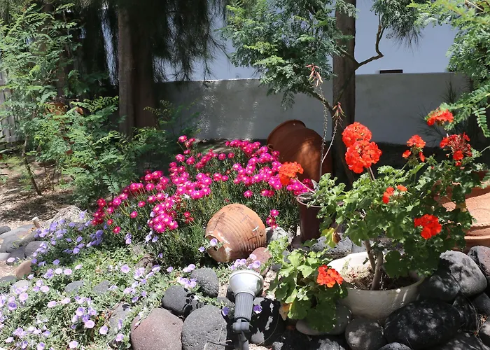 Hotell Zorzis (adults Only) 2*