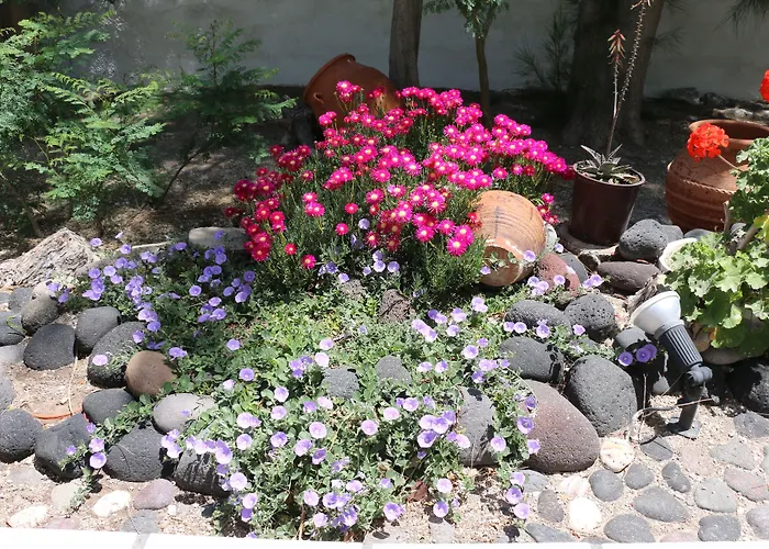 Zorzis (adults Only) Hotel