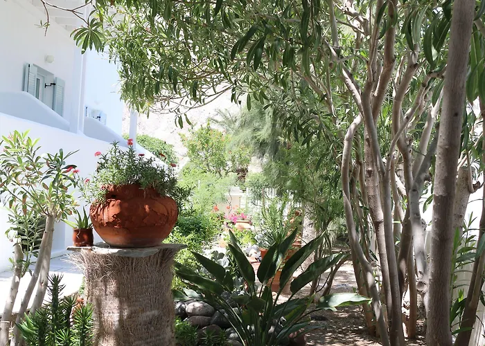 Zorzis (adults Only) Hotell 2*