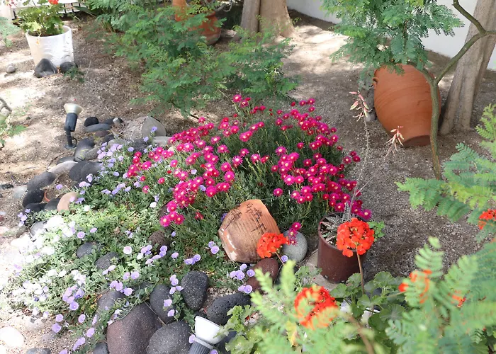 Zorzis (adults Only) Hotell