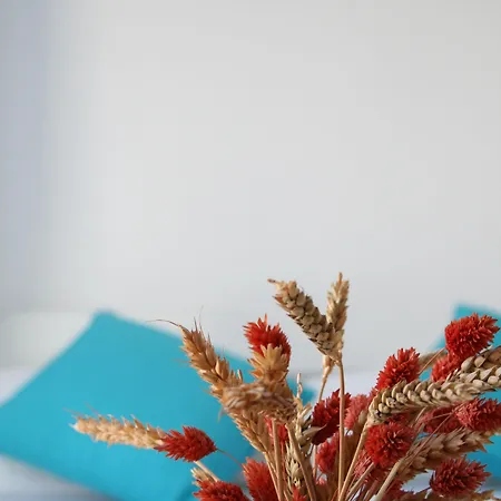 Otel Zorzis (adults Only)