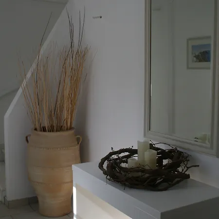 Zorzis (adults Only)