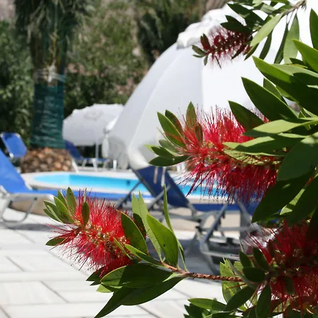 Zorzis (adults Only) 2* Perissa (Santorini)