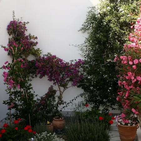 Zorzis (adults Only) Perissa (Santorini)