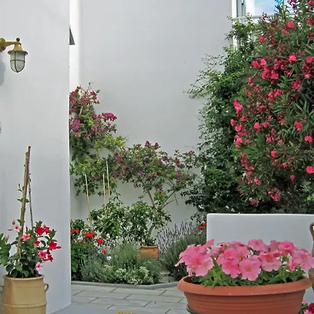 Zorzis (adults Only) Otel