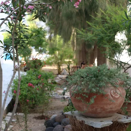 Zorzis (adults Only) 2* Perissa (Santorini)