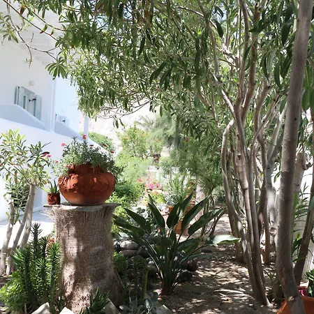 Zorzis (adults Only) Otel 2*