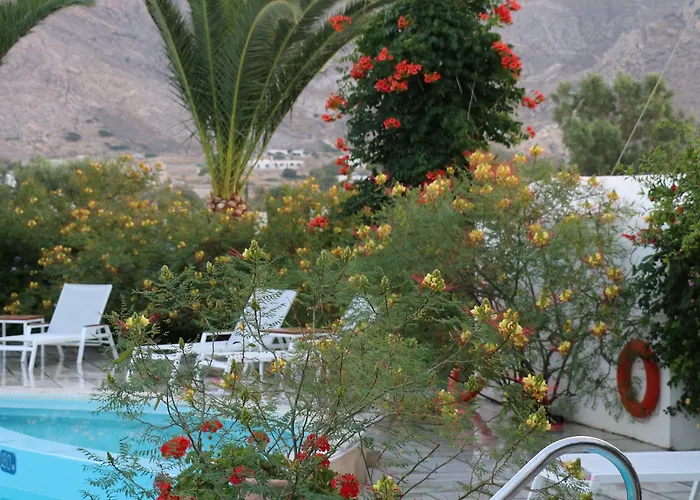 Zorzis (adults Only)