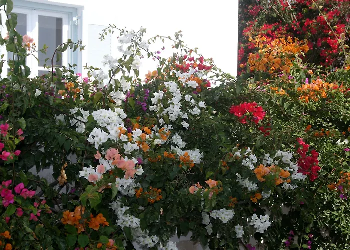 Zorzis (adults Only) Отель Перисса