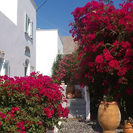 Zorzis (adults Only) ホテル 2*