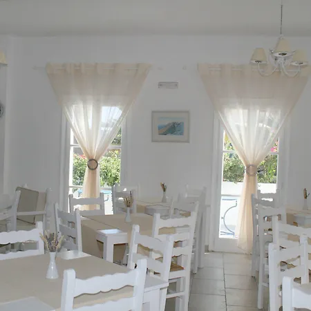 Zorzis (adults Only)