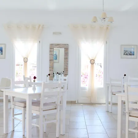 Zorzis (adults Only)