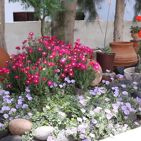 Zorzis (adults Only) 2*