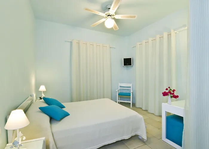 Zorzis (adults Only)