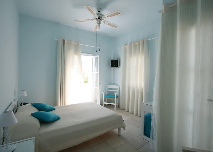 Zorzis (adults Only)