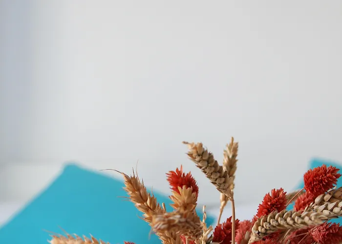 Hotel Zorzis (adults Only)