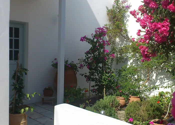 Zorzis (adults Only) Hotel 2*