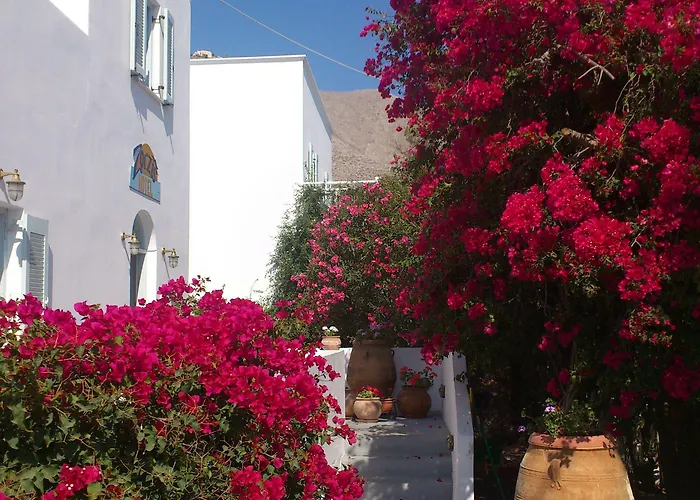 Zorzis (adults Only) Hotel 2*