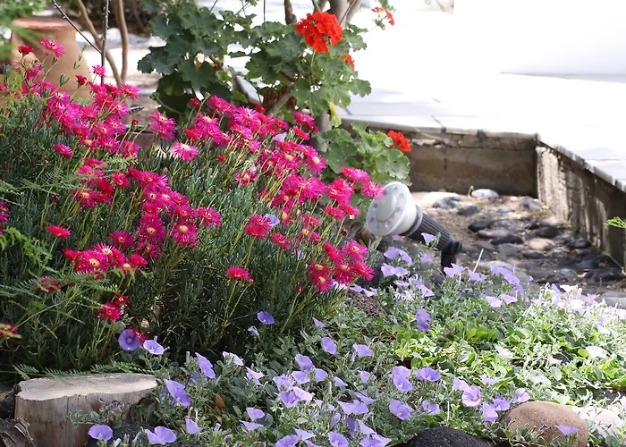 Zorzis (adults Only) 2* Períssa