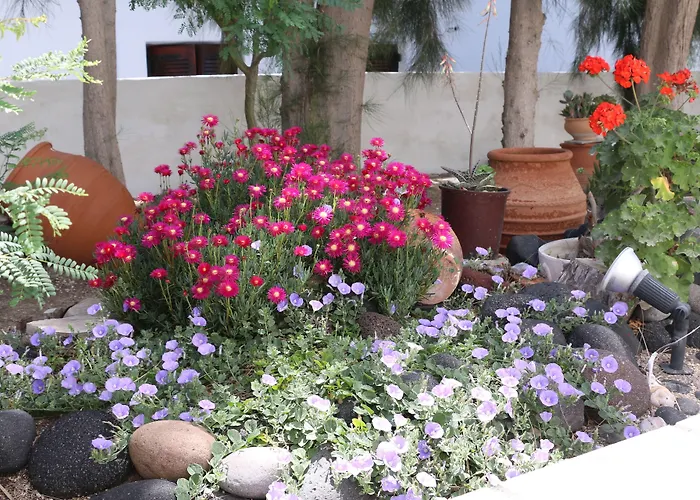 Zorzis (adults Only) 2*